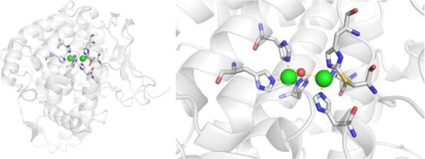 Figure 30