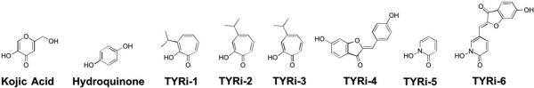 Figure 31