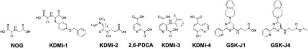 Figure 27