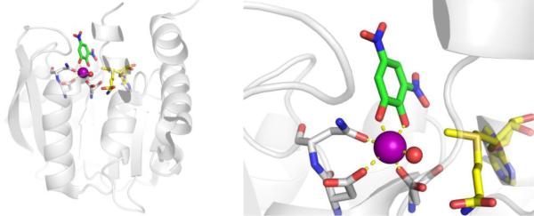 Figure 34