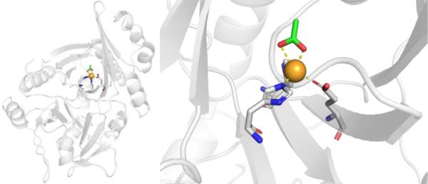 Figure 19