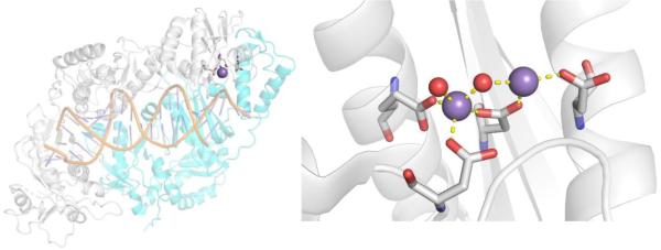 Figure 47