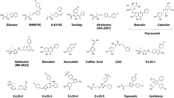 Figure 24