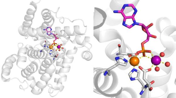 Figure 55