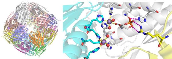 Figure 116