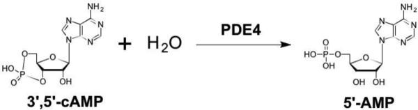 Figure 54