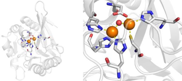 Figure 104