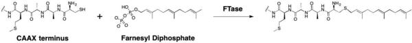 Figure 37