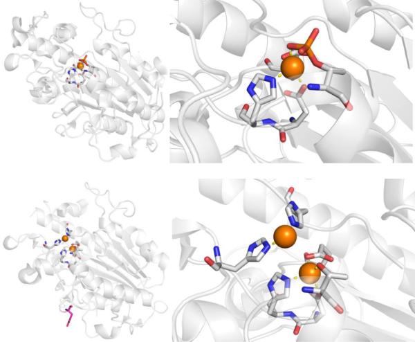 Figure 42