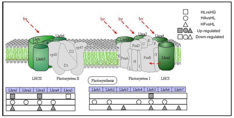 Figure 9