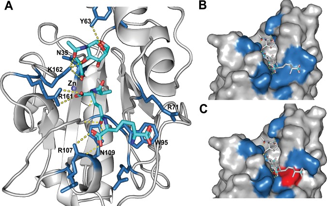 FIG 3