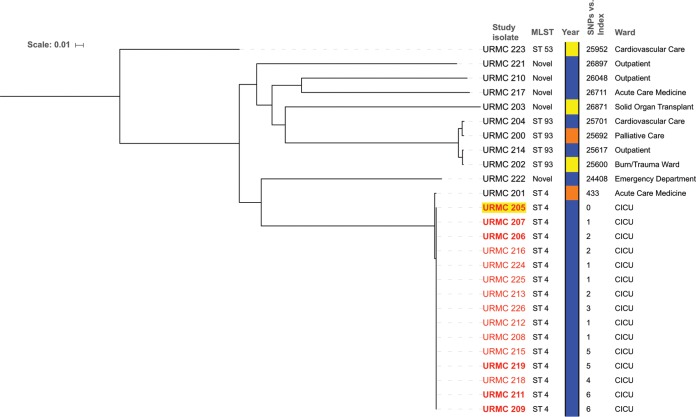 FIG 2