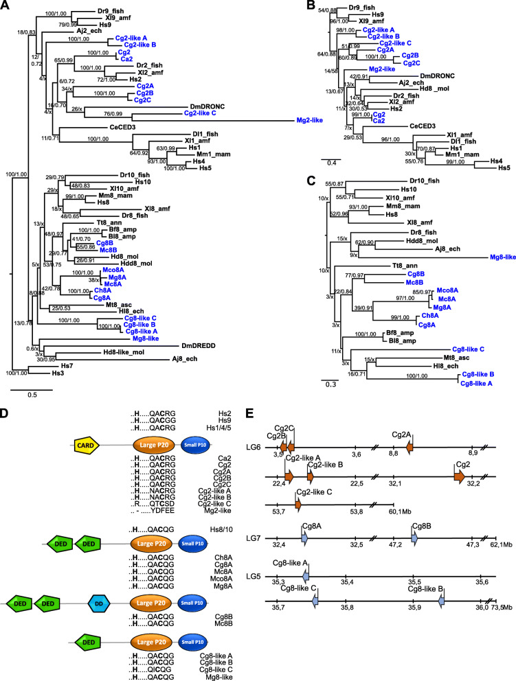 Fig. 2