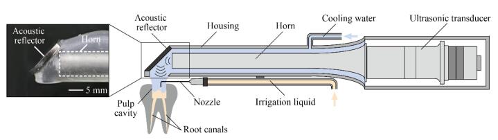 Fig. 2