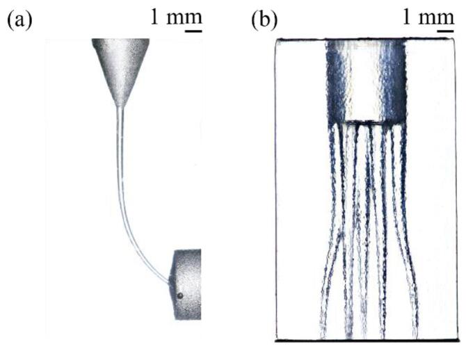 Fig. 5