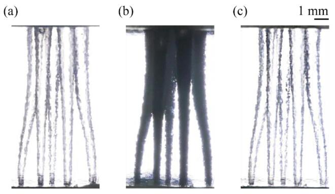 Fig. 10