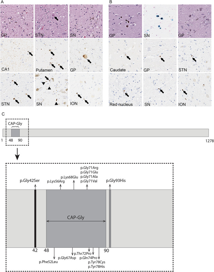 FIG 2