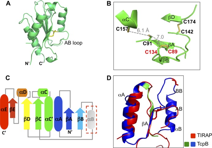 FIGURE 7.