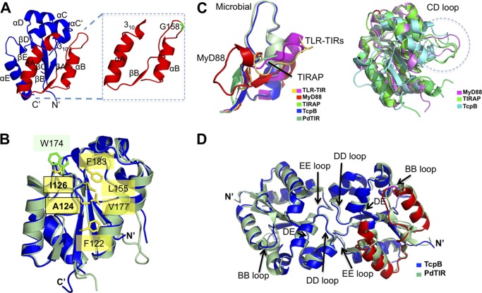 FIGURE 4.