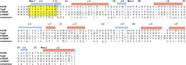 FIGURE 1.