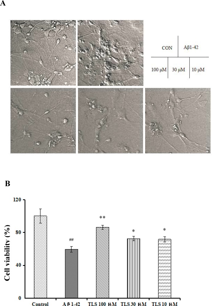 Fig 8