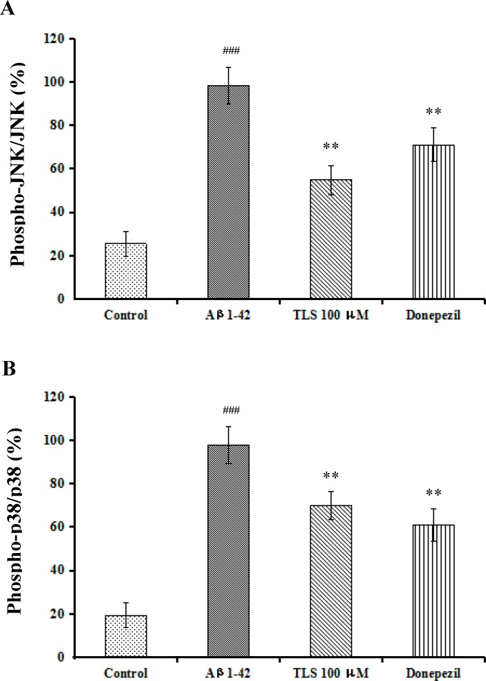 Fig 12