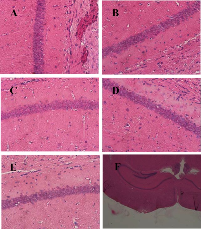 Fig 7