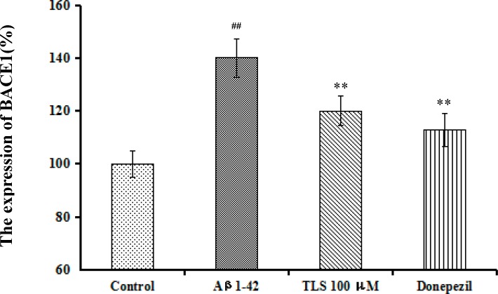 Fig 10