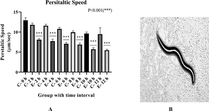 Fig. 3A