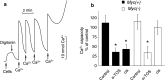 Fig. 4