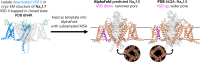 Figure 1—figure supplement 1.