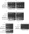 FIG 3