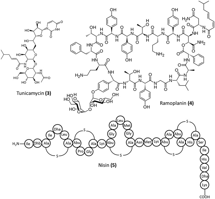 Fig. 3