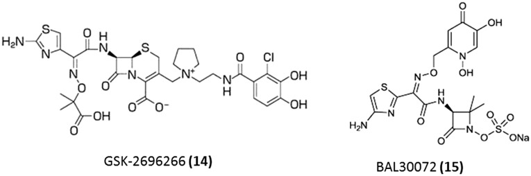 Fig. 5