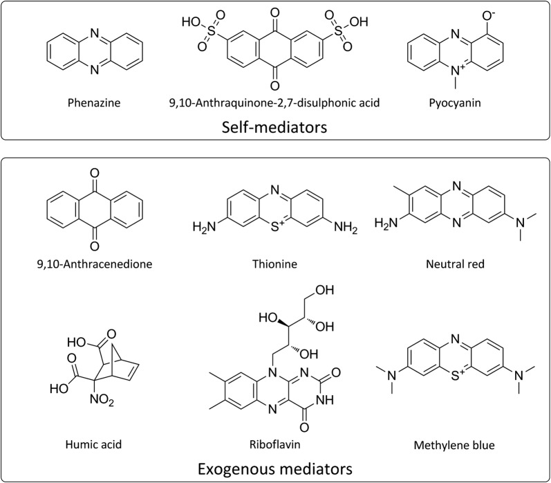 Fig. 2