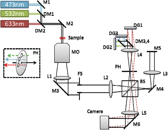 Fig. 1.