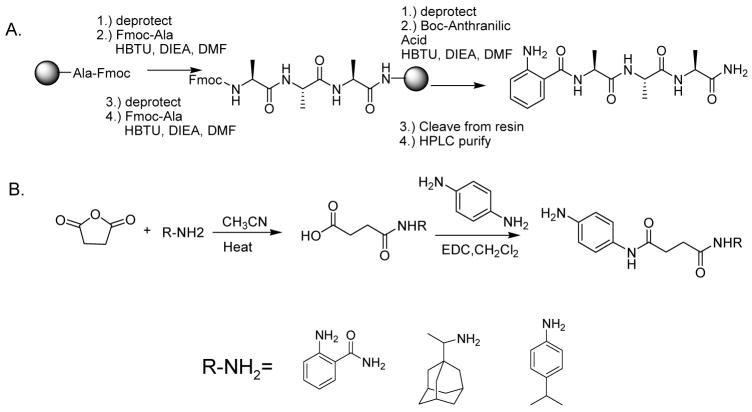 Scheme 2