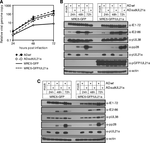 FIG. 8.