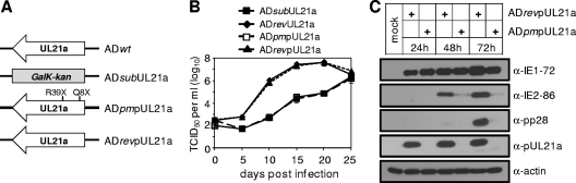 FIG. 6.