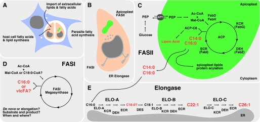 FIGURE 9.