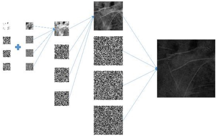 Figure 10