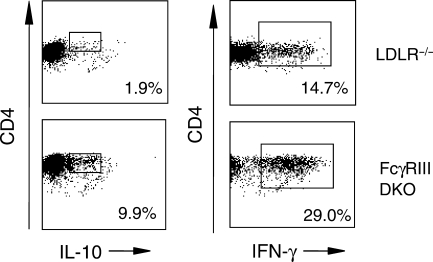 Figure 5