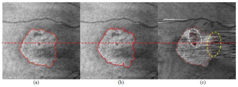 Fig. 9