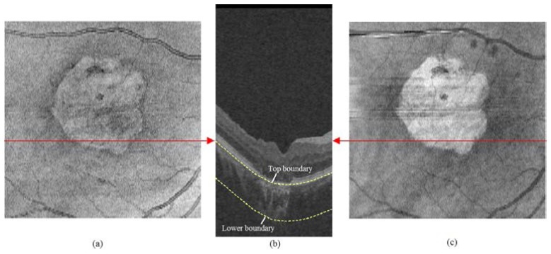 Fig. 3