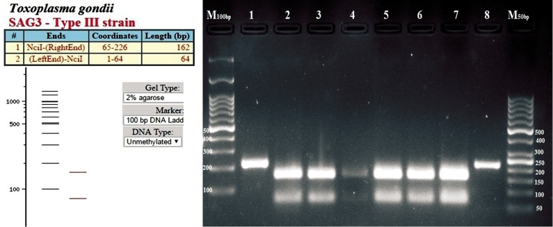 Fig.3