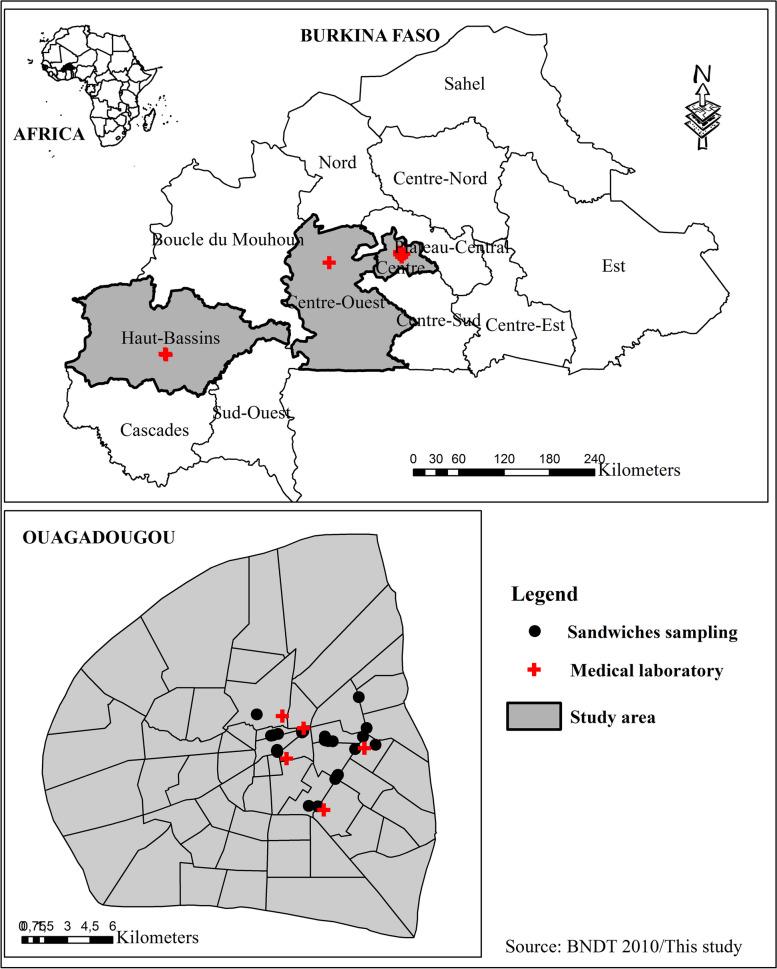 Fig. 1