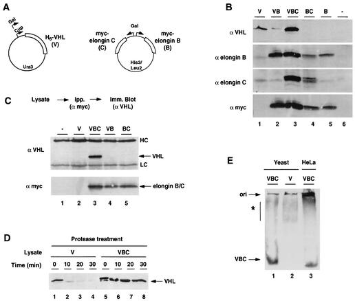 FIG. 1.