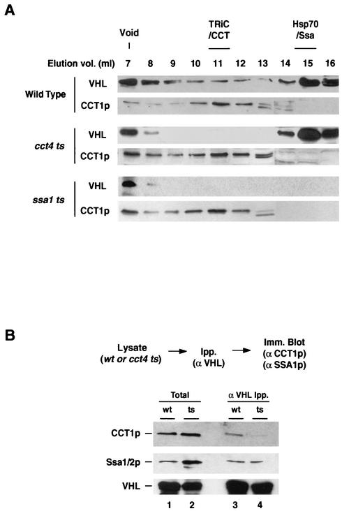 FIG. 5.