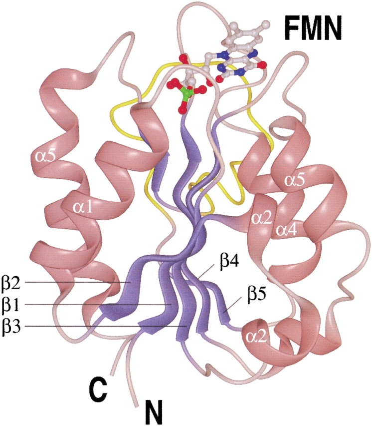 Fig. 3.