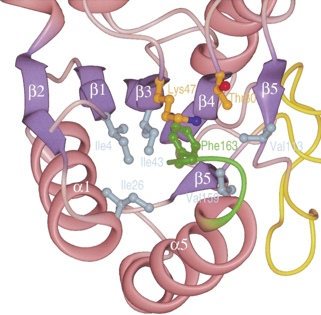 Fig. 6.